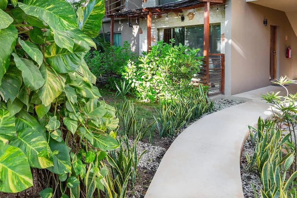 Buena Vida Amazing 2 Bdr In Veleta With Pool Apartment Tulum 0*,  Mexico